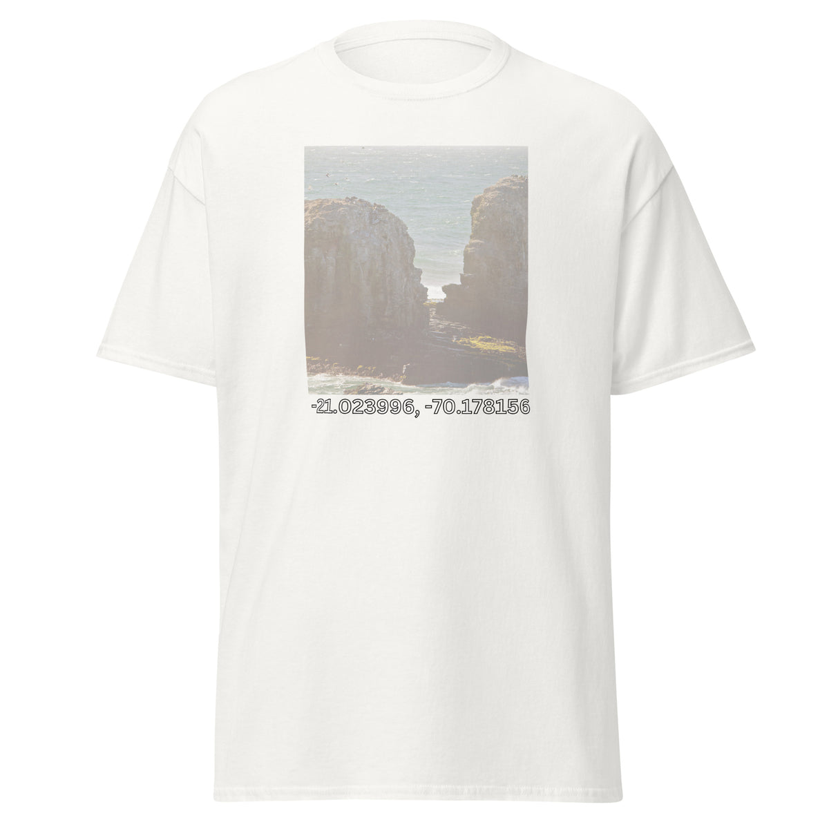 Men's classic tee