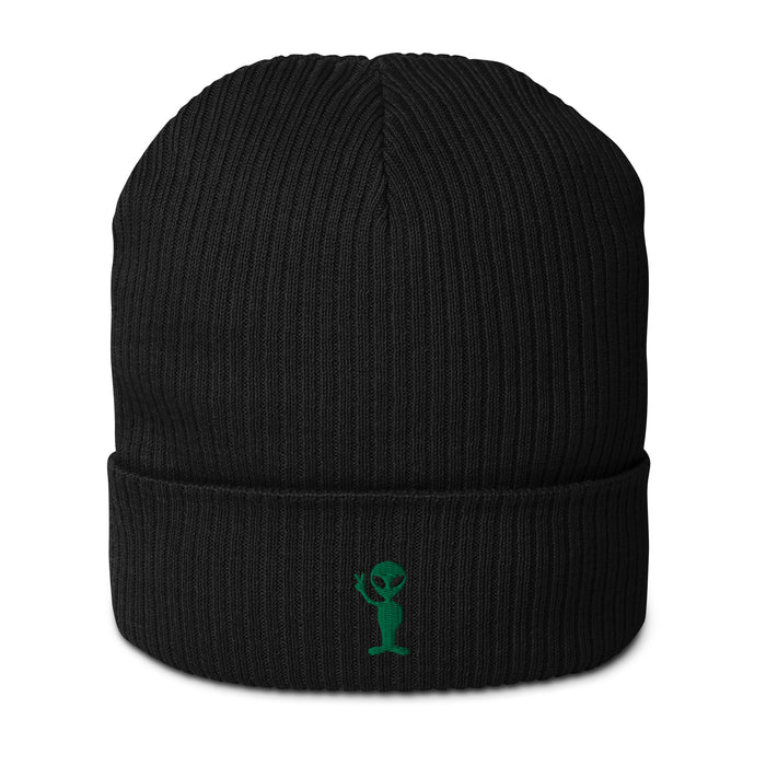 Organic ribbed beanie