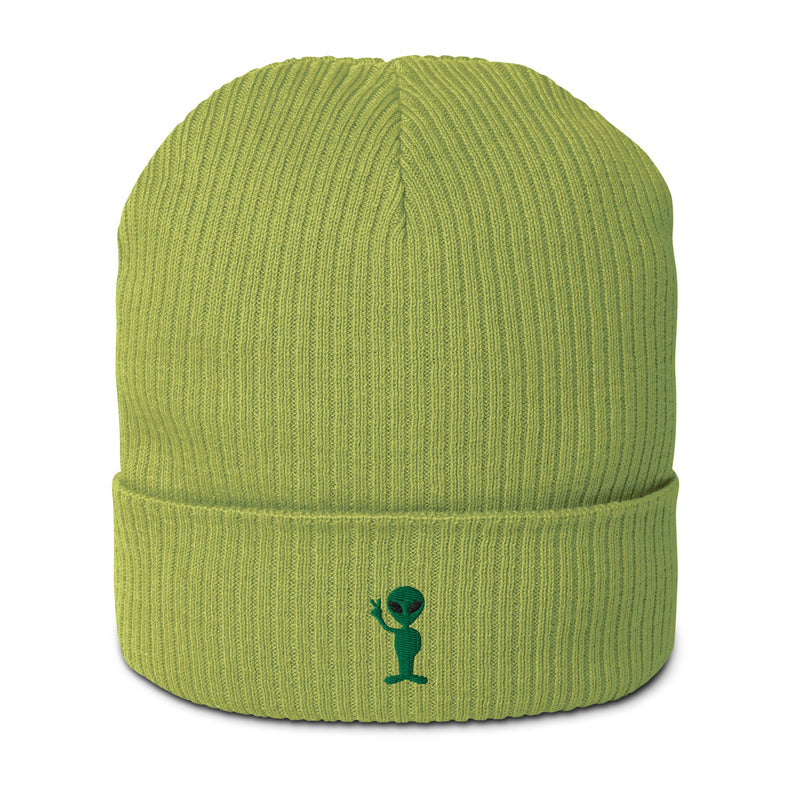 Organic ribbed beanie