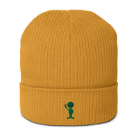 Organic ribbed beanie